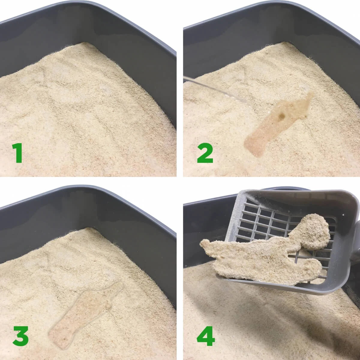 AREIA PARA GATO 100% VEGETAL ALMO NATURE - GRÃO FINO