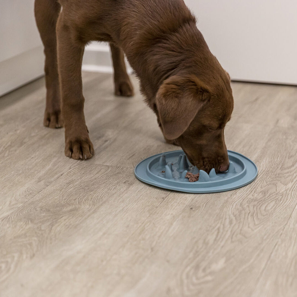 COMEDOURO TRIXIE PARA ALIMENTAÇÃO SLOW FEED